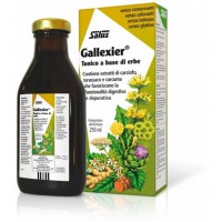 Gallexier® Shurup Bimor Për Mirëqenien e Mëlcisë, Stomakut, Tëmthit 250 mL - SALUS HAUS